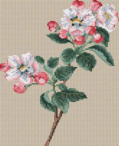 楽天市場 メール便送料無料 Creative World Of Crafts クロスステッチ刺繍キット Pyrus Malus 西洋リンゴ １４ctアイーダ 花 クロスステッチキット ししゅう 刺繍 グレイスワーク