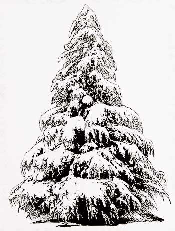 楽天市場】ラバースタンプ クリスマスツリー アンマウント 輸入