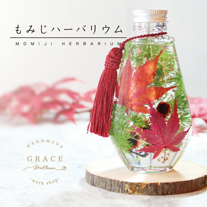 楽天市場】[スーパーSALE 10%OFF] もみじ ハーバリウム キット