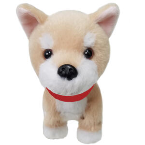 楽天市場 歩くしゃべるぬいぐるみ ウォーキングカワイイバディーズ 柴犬 トコトコ歩いて 真似しておしゃべり Be オリジナルギフト 雑貨 Gracias