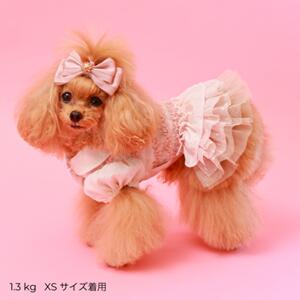 ペット服 【GODPIVA ドットチュールフリルワンピース】 オシャレなわんちゃんに♪ GP25SS|オリジナルギフト&雑貨 Gracias