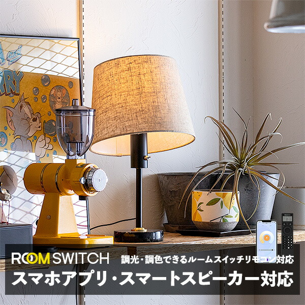 有名ブランド ROOM LED電球専用 調色 ルームスイッチ タイマー機能付き リモコン SWITCH 調光