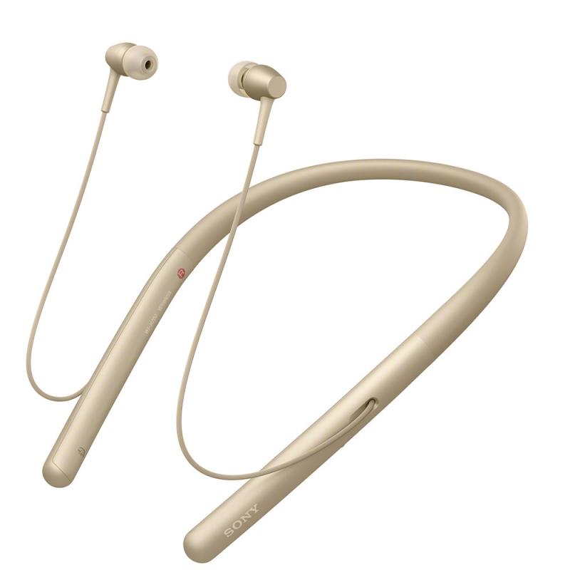 ソニー SONY ワイヤレスイヤホン h.ear in 2 Wireless WI-H700