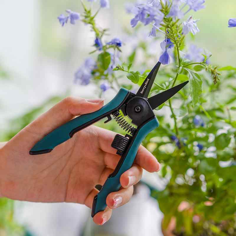 剪定ばさみ ガーデニング 園芸 花 ハサミ 枝切り フラワーアレンジメント 家庭用 植木鉢 花屋 工具