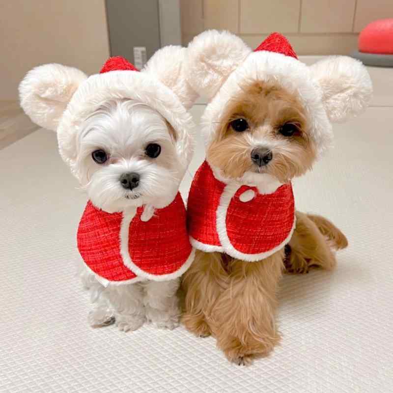 犬服 ドッグウェア ペット クリスマス 衣装 かわいい おしゃれ ぬいぐるみ 耳 フード付き よだれかけ ケープ 暖かい 小型 新年 猫 レッド