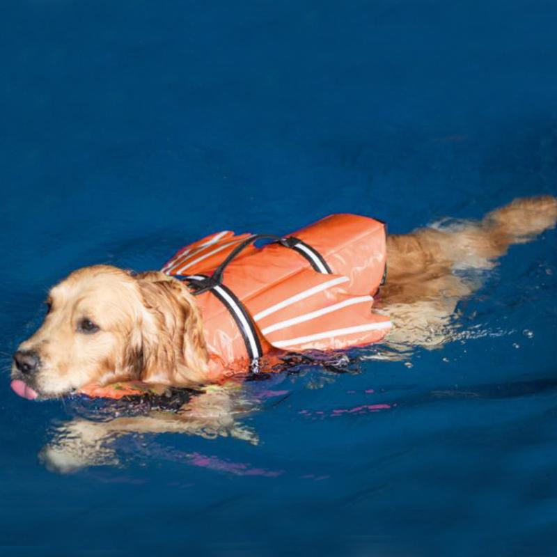 ライフジャケット 犬服 ドッグウェア 救命胴衣 海 川 水遊び プール ペット用品 夏 水着 オレンジ ピンク 黄緑