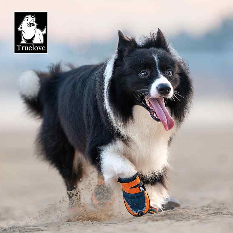 犬 靴 ドッグシューズ 秋冬 運動競技 愛玩動物 ソフトソール パステル色の底 脱げにくい 上滑り打ちきり 足覆いかぶせる 黒いこと 緑であること 黄色