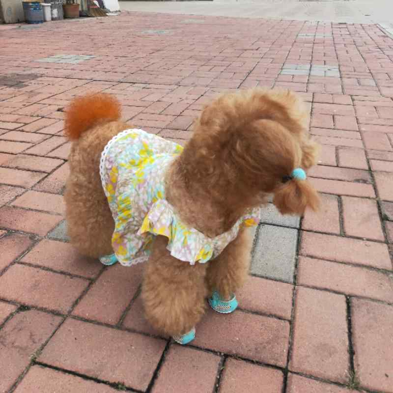 犬 靴 ドッグシューズ 可愛らしい 通気性 メッシュ オール時節 熱傷押しとどめる 防汚 青み 白いこと