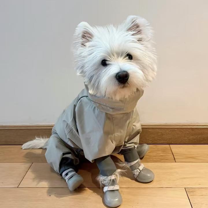 犬 靴 ドッグシューズ オールシーズン レインブーツ 防水 滑り止め かわいい 小型犬 アウトドア 汚れ防止 ブルー パープル グリーン