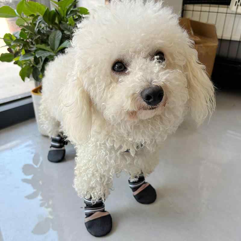 犬 靴 ドッグシューズ 防水 大型犬 滑り止め カジュアル レインブーツ ペット 汚れ防止 脱げにくい ブラック