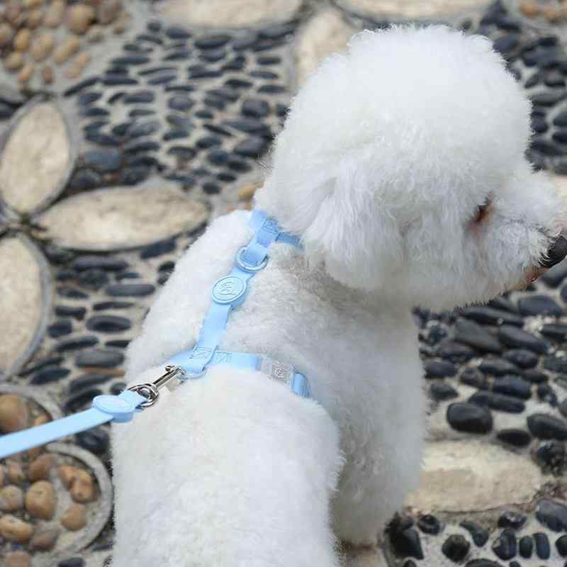 犬 リード ハーネス 胴輪 大型犬 ペット用品 散歩紐 防水 首輪 外出 ウォーキング ピンク ブルー パープル