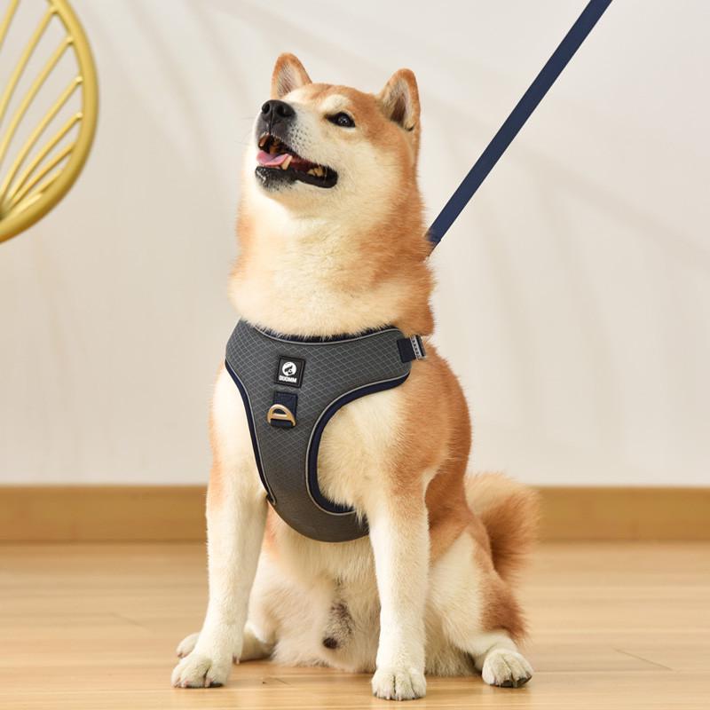 犬 リード ハーネス 胴輪 中型犬 ペット用品 ベスト 牽引ロープ 散歩紐 首輪 レッド グレー パープル