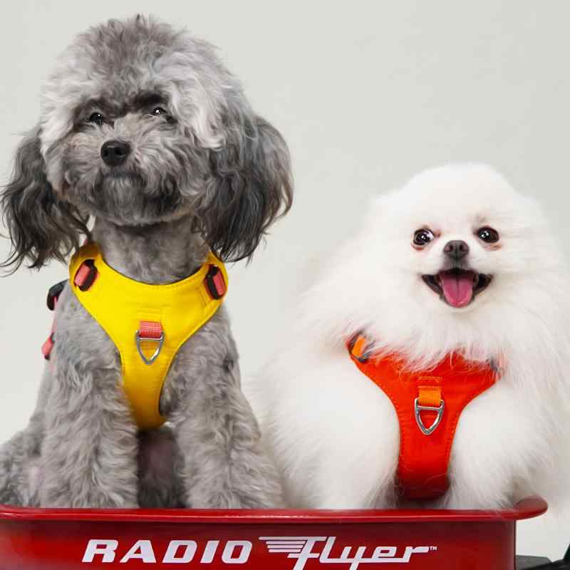 犬 リード ハーネス 胴輪 ペット用品 大型犬 中型犬 小型犬 ベスト 牽引ロープ グリーン イエロー オレンジ