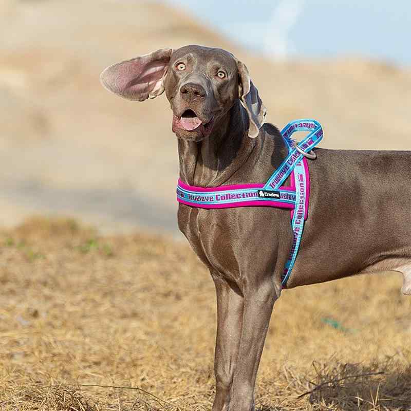 犬 リード ハーネス 胴輪 大型犬 中型犬 小型犬 ペット用品 牽引ロープ ベスト 散歩用 胸当て ブルー ブラック グリーン
