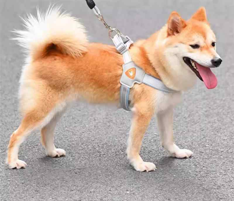 犬 リード ハーネス 胴輪 小型犬 中型犬 ペット用品 牽引ロープ 散歩ひも レッド ブラック イエロー