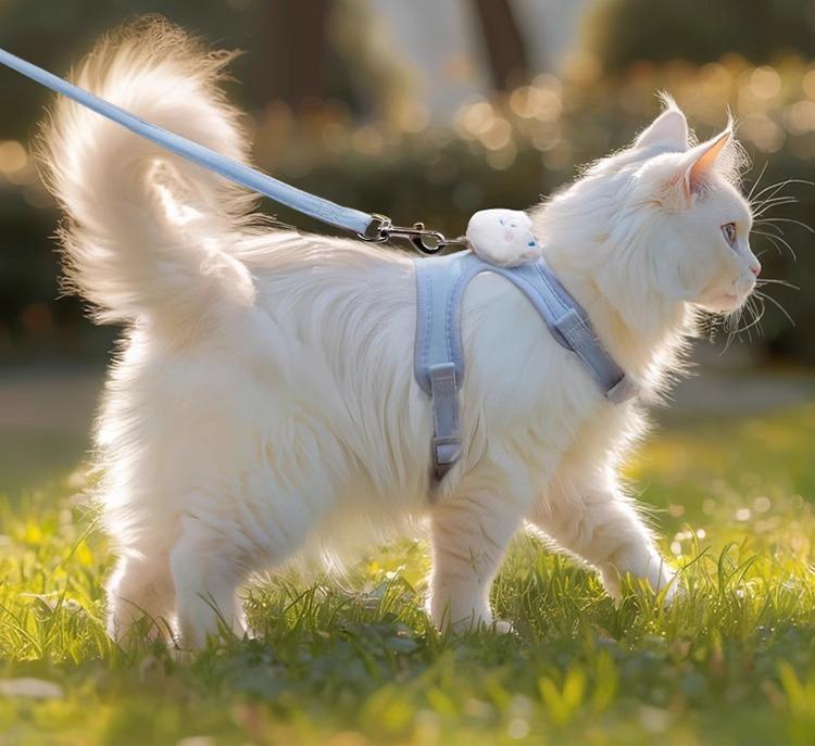 犬 猫 リード ハーネス 胴輪 小型犬 ペット用品 牽引縄 調節可能 散歩用 可愛い 胸当て ブルー ピンク イエロー