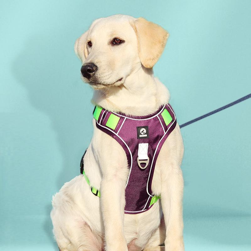 犬 リード ハーネス 胴輪 中型犬 大型犬 牽引ロープ ハーネス 散歩 リード ペット用品 胸当て カーキ パープル ブルー