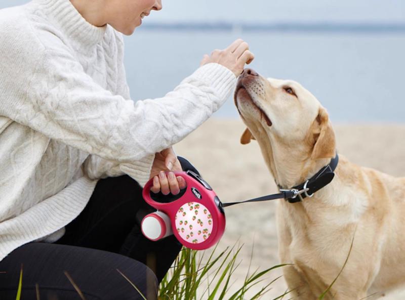 犬 リード ハーネス 胴輪 小型犬 中型犬 猫 自動伸縮 リード ペット用品 散歩 ウォーキング イチゴ柄 レッド