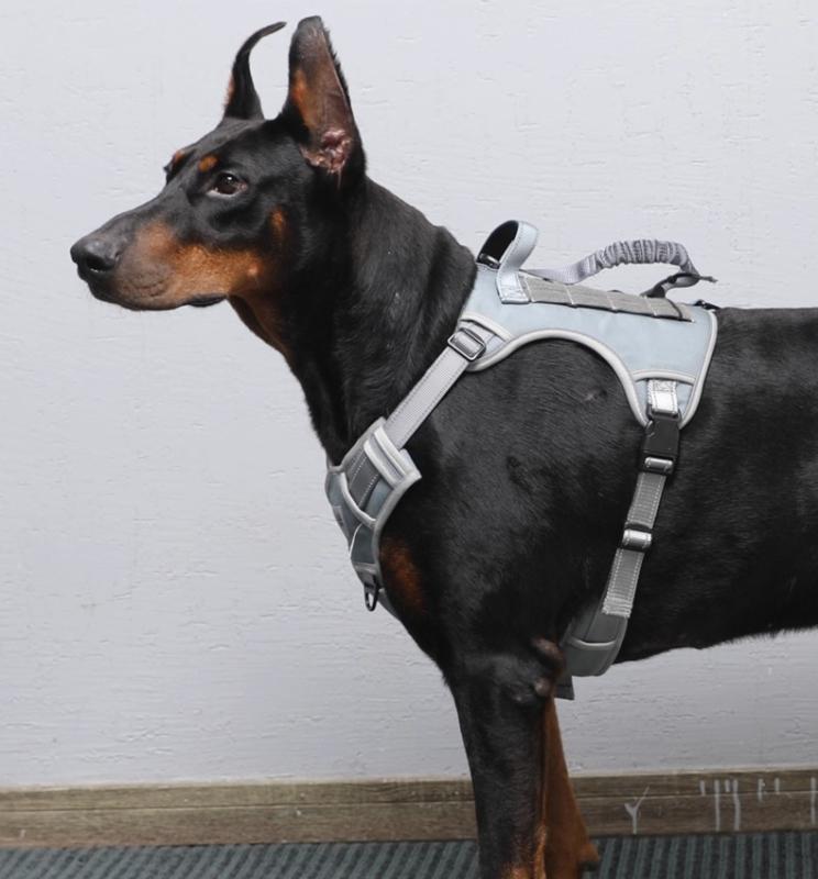 犬 リード ハーネス 胴輪 小型犬 中型犬 大型犬 胸当て リード セット 散歩 脱げにくい ベスト ブラック ブラウン グレー｜Grams店