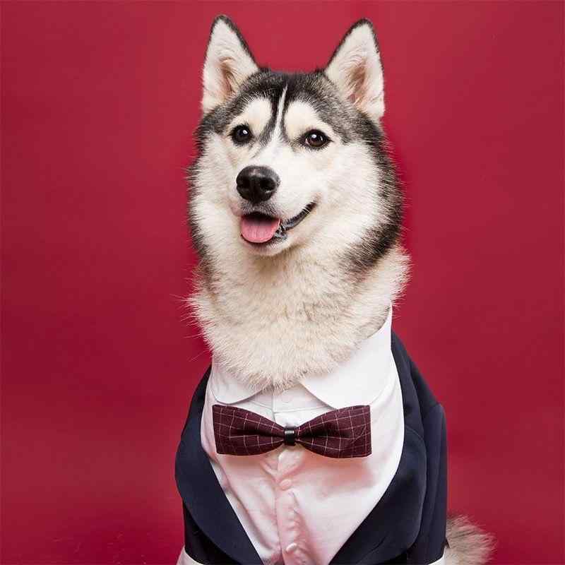 犬服 ドッグウェア 中大型犬 柴犬 結婚式 ウェディング ブライダル スーツ タキシード 燕尾服 礼服 フォーマル ブラック 英国紳士風 ポリエステル素材 快適な着心地 4,091円