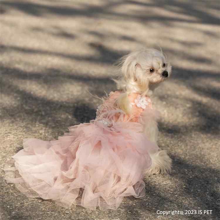 愛玩動物お召しもの 猫 犬 うさぎ 御芽出度お召しもの 夕まぐれお召しもの フォーマル ロングギア 妃殿下表現スタイル お手々お手伝いさん 綿原料品 サクラ色 雅びやか 愛くるしげ 御芽出度 寄りあい でき事
