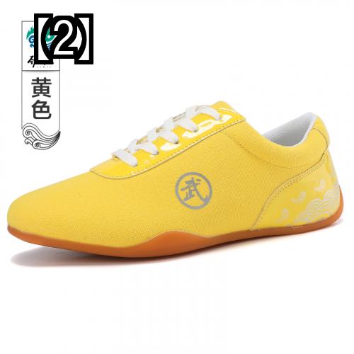 メーカー直売 太極拳 武道 男の子 トレーニング スポーツ Vanfis Mx