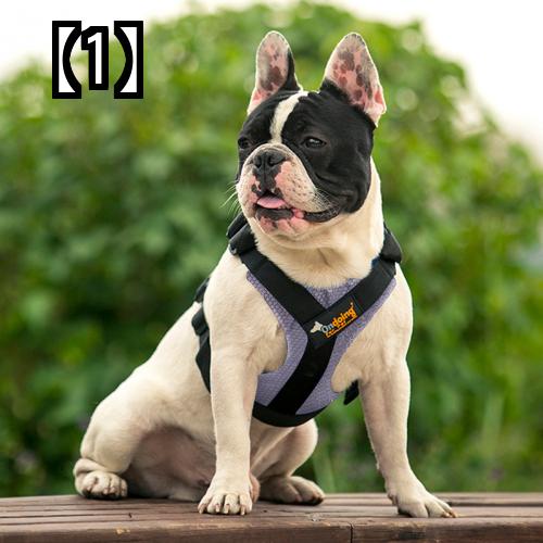 犬用 リード 首輪 胴輪 散歩 トレーニング ペットグッズ 犬用品 ウォーキング ロープ ペット チェスト ストラップ 小 中 大 ベスト タイプ チェーン