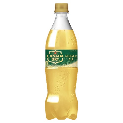 コカ・コーラ カナダドライジンジャーエール700mlPET ×20本