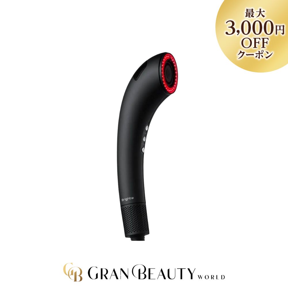 Brighte SHOWER DRYER シャワードライヤー　BRT-SD173 正規品取扱店】Brighte SHOWER DRYER BRT-SD173 ブライト