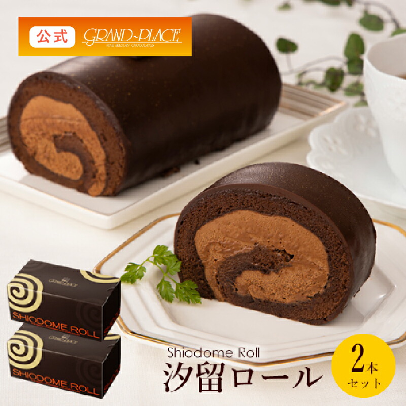 お最中元 早割り当て クーポンちりぢり中 お土産 スイーツ 汐留渦形 2根拠 ホットチョコレートケーク ロールケーキ お甘味 スーベニア 送料無料 チョコレート専門職店屋 の 深い チョコレートロール ケーキ 取り寄せ 冷凍 降誕日時 ベルギーチョコ チョコレート グラン附
