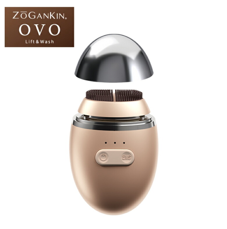 楽天市場】ZOGANKIN OVO ゾーガンキンオーヴォ【ovo-1】 : Prossimo