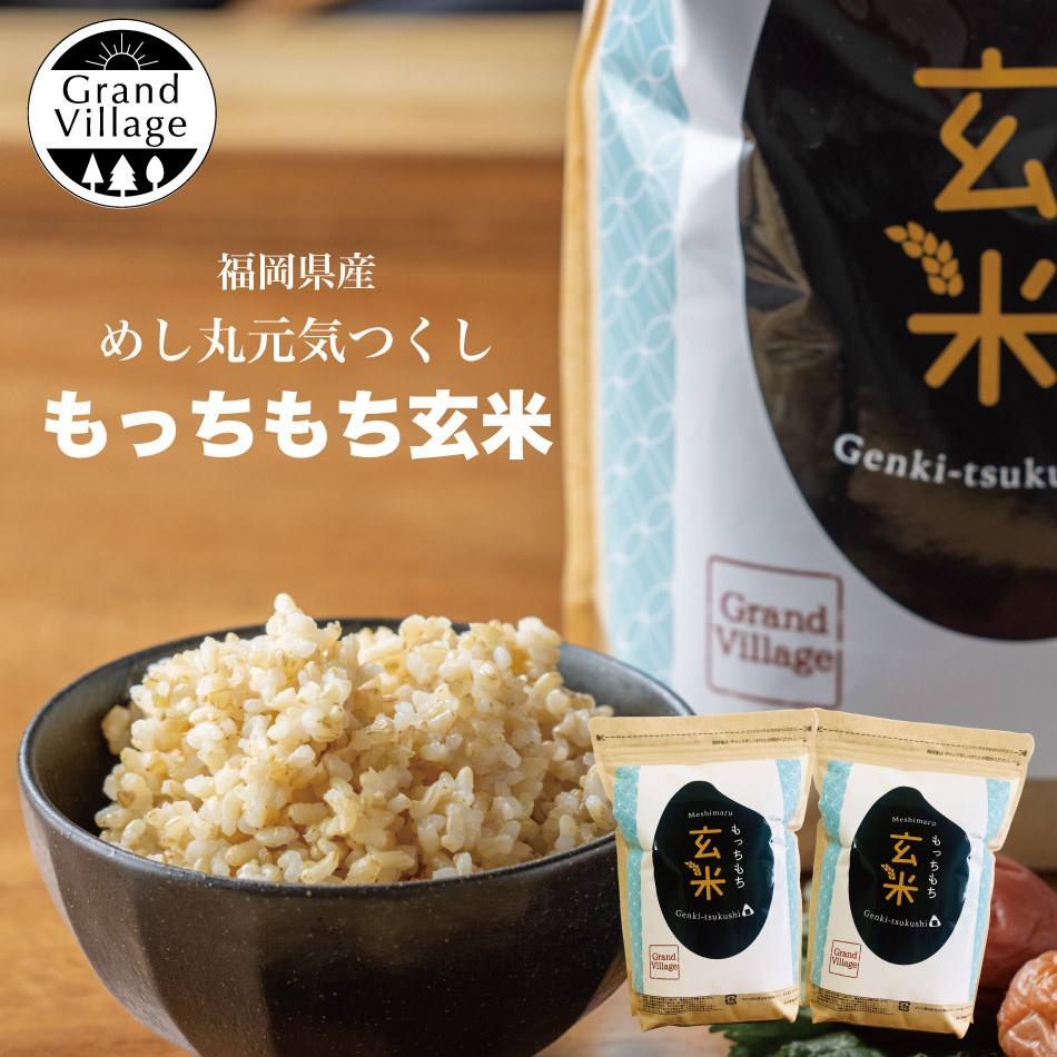 保障できる 送料込み 令和4年産 高知県産 新米コシヒカリ 玄米10㎏ 袋