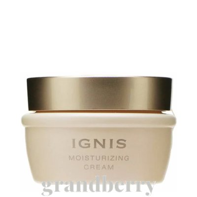 イグニス モイストプレミアムソープ 洗顔料 120ml 楽天市場】【国内正規品】イグニス モイスト プレミアム ソープ