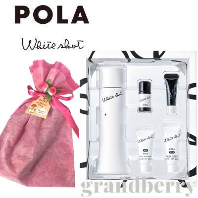 メール便なら送料無料 母の日 21 ギフト ラッピング付き Pola ポーラ プログラムキット Lx N 母の日プレゼント Web限定 Erieshoresag Org