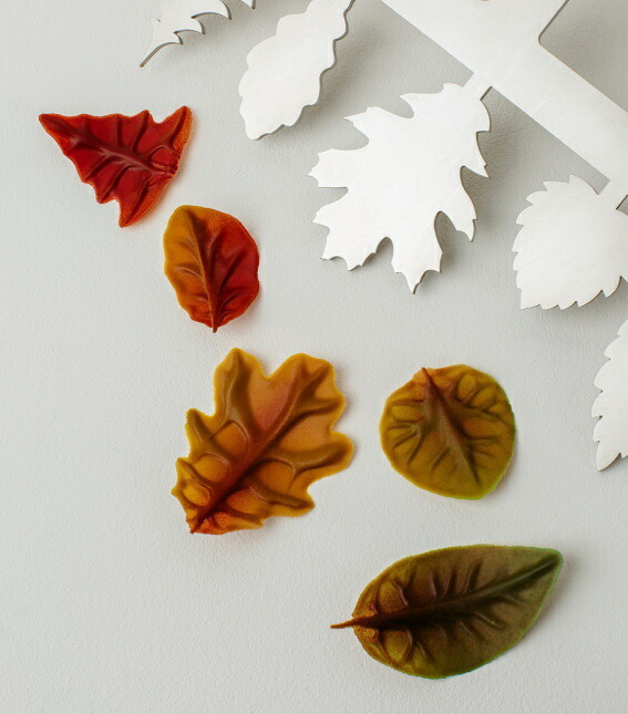 FRANK HAASNOOTフランク・ハースヌート デコレーションチョコレート用ツール Autumn comb オータム　5種葉(L)シリーズ全幅250mm