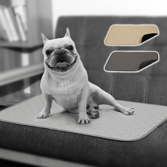 ペットシーツ 洗える 犬 ペット用おしっこマット 布 おしっこマット 厚型 トイレ 下敷きマット S M レギュラー 小さめ 速乾 猫 中型犬