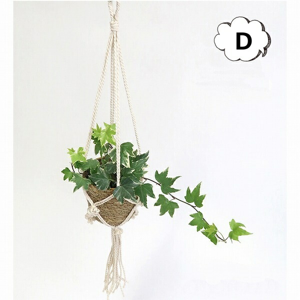 特別セーフ マクラメハンギングポット D アンティーク風 ガラス マクラメ 花瓶 レトロ フラワーベース 木 花 フラワー フラワーグラス シンプル おしゃれ 置物 北欧 花器 インテリア雑貨 インテリア Cmdb Md 特別セーフ マクラメハンギングポット D アンティーク風 ガラス マクラメ 花瓶 レトロ フラワーベース 木 花 フラワー フラワーグラス シンプル おしゃれ 置物 北欧 花器 インテリア雑貨 インテリア Cmdb Md