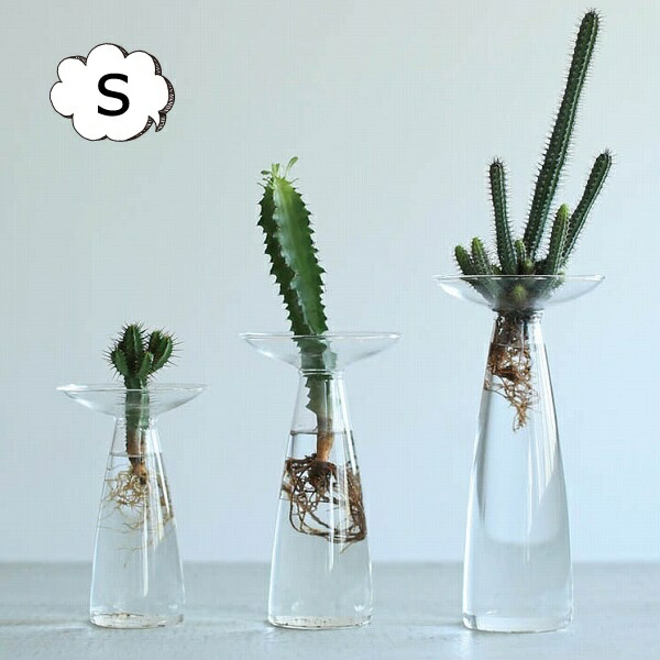 楽天市場 花瓶 ガラスベース エリンギウム Sサイズ ダルトン Dulton H19 0008s ガラス 水耕栽培 水栽培 フラワーポット 花瓶 フラワーベース 球根 水栽培 花瓶 ガーデニング おしゃれ かわいい レトロ 球根 多肉植物 インテリア雑貨 Grandewild