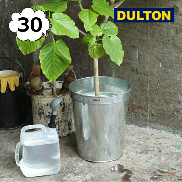 楽天市場】【あす楽】 DULTON ガルバナイズド ポットカバー 22 （7号鉢