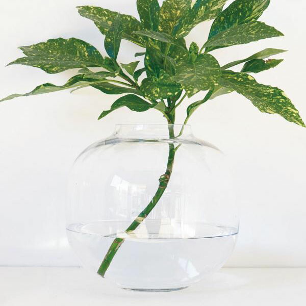 花瓶 ガラスベース ビッグベース バルーン クリア 丸型 大きめ アクシス ホームステッド Homestead Hs3078 ガラス アンティーク風 ボトルベース フラワーベース 木 花 フラワー フラワーグラス ベース シンプル おしゃれ 置物 北欧 花器 インテリア雑貨 インテリア