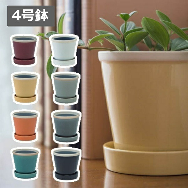 楽天市場】植木鉢 おしゃれ 陶器鉢 フラワーポット パステルカラー