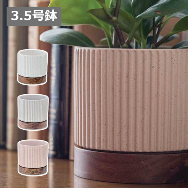 楽天市場】タイディポット S 植木鉢 鉢 ソーサー セット