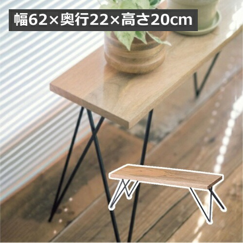 楽天市場】【特典付き】 セルリー・フラワースタンド2点セット