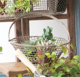 ガーデニング雑貨アンティーク ガーデン雑貨 アイアンバスケット 62632