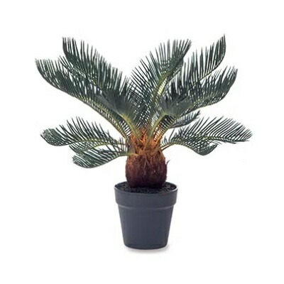 ソテツ イミテーション ポット 【インテリア 観葉植物 人工植物 おしゃれ イミテーション 鉢付き 造花】 81124