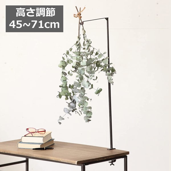 楽天市場】ジョセフアイアン クランプハンギングフック スパイス SPICE