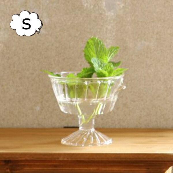 リボベジ ガラス カップ Sサイズ Kegy2111 リボーンベジタブル 再生野菜 鑑賞用 水栽培 水耕栽培 花瓶 花器 キッチン 食卓 園芸 フラワーベース エコ サステナブル 大切な