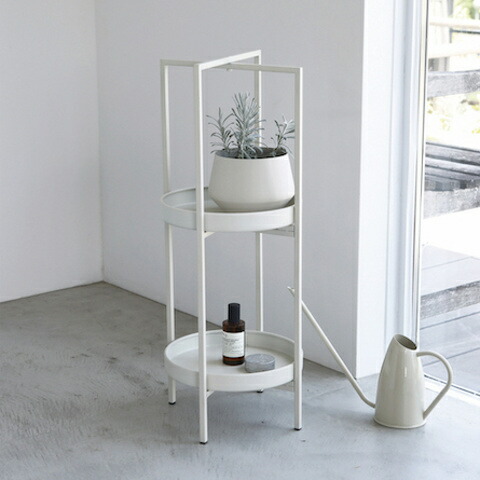 楽天市場】【特典付き】 セルリー・フラワースタンド2点セット