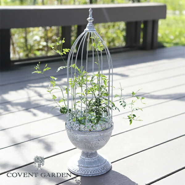 楽天市場】【特典付き 】 ポルヴィ・プランツケージ コベントガーデン