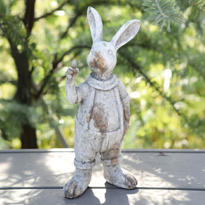 ウサギ　うさぎ Very popular color rabbit parents and children are too cute